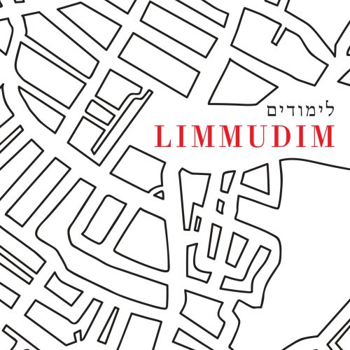Chavruta: Limmudim